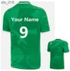 Jerseys Wales Jersey Fan Tops T-shirt walijska koszula duża rozmiar 5xl Niestandardowa nazwa i numerh240307
