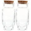 Bottiglie portaoggetti, 2 pezzi, bottiglia dei desideri, trasparente, decorazione paesaggistica, ornamento in vetro e sughero