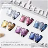 Vernis à ongles 15 couleurs Sparkly Sky Gel magnétique Violet Bleu Holographique Chat Magique Soak Off UV Aimant Art 230712 Drop Livraison Dhthr