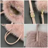 Evening Bags 2024 Autumn And Winter Furry Bag Simulated Fur Crossbody Shoulder Strap High-end Tote Handbag Bolso De Mujer Drop