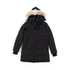 Wild Goose Coat 15 Tails Waterproof Mid length White Duck Down