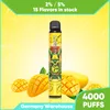 Vaper usa e getta Vaper aromatizzato alla frutta all'ingrosso personalizzato con penna per sigaretta elettronica 4000 sbuffi 5K