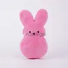 Zwierzęta 50 cm Plush Bunny Rabbit Peep Easter Zabawki Symulacja Symulacja Pchana lalka dla dzieci dla dzieci Miękkie poduszki