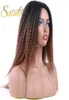Ombre Kinky Curly Afro Hair Wigs Синтетический парик для женщин Средняя часть Женские черные натуральные женские парики 2311465