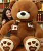 High Quality 80100cm 4 Colors Teddy Bear with Scarf Stuffed Animals Bear Plush Toys Teddy Bear Doll Lovers Birthday Baby Gift Q073672906