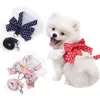 Sweet Bow Borstharnas voor Hond en Kat Puppyriem Kleine Honden Harnas Vest voor Prinses Chihuahua Yorkshire Wandeltraining 240229