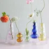 Vase en verre teinté bouteille d'aromathérapie en rotin sans feu décoration à haute teneur en borosilicate salon arrangement floral hydroponique 240229