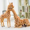 Animali di peluche ripieni 35 * 140 cm simulazione di alta qualità giraffa farcita carino grande peluche bambola animale giocattolo per bambini ragazza decorazione della casa compleanno Christm8776006 240307