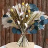 Fleurs décoratives séchées Pampas Grass Bouquet Arrangement de fleurs de mariageVéritable eucalyptus naturel Boho maison salon décor de Noël