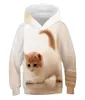 Crianças bonito gato 3d impresso hoodies meninos meninas legal moletom com capuz crianças moda pullovers roupas topos 4t14t bebê suéteres 27230316