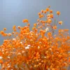 Flores decorativas grinaldas gypsophila bebê respiração milhões de estrelas planta natural preservada seca casa casamento natal ano decoração ll