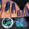 Irregular Nail Sequins 6g Glitter Powder Art High Quality Chameleon Strobe 240229