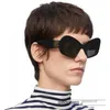 Designer Sunglasses Cat Eye Internet Celebrity INS Same Style Personalized Sunglasses Female DZX3