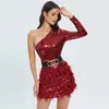 Casual Dresses Burgundy One-shoulder Long-sleeved Sequined Feather Dress