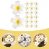 Flores decorativas 20 peças frangipani artificial plumeria flor hairpin chapelaria com clipes acessórios de ferro para meninas cocar