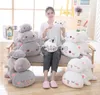 Soft Big Eye Dog Stuffed Plush Animals White Gray Cute Dogs Size 35-50-65cm Kids Sleeping Pillow Toy 240307