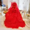 Dog Apparel High-end Handmade Luxury Clothes Pet Wedding Dress Princess Trailing Gown Detachable Skirt Red Lace Ribbon Bow Pography