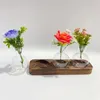 Vases en verre Terrarium planteur hydroponique plante pot de fleur avec support en bois 3 pièces pot pour cuisine salle de bain jardin