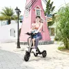 Scooter elétrico de mobilidade de 3 rodas, scooter elétrico dobrável, 10 tamanhos, 36v, 350w, triciclo pai-filho, dois assentos