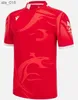 Jerseys Wales Jersey Fan Tops T-shirt walijska koszula duża rozmiar 5xl Niestandardowa nazwa i numerh240307