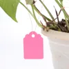 Gartendekorationen 100pcs Pflanzenhängeetikett Flexible Sukkulente Baummarker -Tag wasserdichte kreative haltbare Werkzeuge für Haus