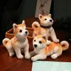 Lifelike Akita Dog Stuffed Animal Plush Toy Cute Simulation Puppy Shiba Inu Fluffy Appease Baby Doll Birthday Gifts For Children 240308