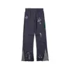 Heren Designer mode Heren broek Joggingbroek dept Gespikkelde Letter Mans Paar Rechte Broek 240308