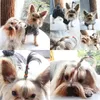 Hundebekleidung Mini-Haustier-Gummibänder mit einem Durchmesser von ca. 10–15 mm, Fellpflege-Haar-Accessoires