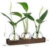 VASE PLANTS PROPAGATION STATIONS GLASE VASE STATION RETRO PLANT TERRARIUM WHODE WOODED TRAY BULB FLOWER HOME OFFIRER