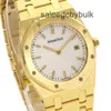 Audema Pigu Orologi a carica automatica Movimento tourbillon volante Orologi da polso Royal Oak 1.3 Orologio 56175BA K18 Oro / Giallo 18 carati G WN-ATDT