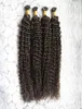 U TIP PREBUNDED FUSION Hårförlängningar Curly Brasilian Remy Human Hair On Capsule 200g Strands U Tip 18quot20quot22quot24q2962067