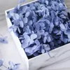 20g Preserved Dried Pressed Flower Colorfast Exquisite Natural Realistic DIY Hydrangea Heads Arrangement Wedding Decor 240223