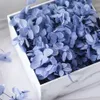 20g geconserveerde gedroogde geperste bloem kleurvast prachtige natuurlijke realistische DIY hortensia hoofden arrangement bruiloft decor 240223