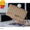 Cc Classic Woc 19 Handbag Quilted Tote Women Men Designer Shoulder Bags Flap Golden Metal Letter Clutch Bags Genuine Leather Crossbody Wallets Duffle Bag