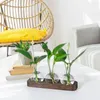 VASE PLANTS PROPAGATION STATIONS GLASE VASE STATION RETRO PLANT TERRARIUM WHODE WOODED TRAY BULB FLOWER HOME OFFIRER