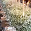 100 g naturligt torkad gipsophila blomma baby andningsbuketter blommor gipsfila grenar för heminredning bröllop girland dekoration 240301
