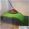 Decorations Rium Decor Turtle Basking Platform Acrylic Island Riums Moss Clambing For S Reptile Tank Decoration Y200917 Drop Delivery Dhloy