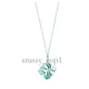 Designer Fashion Klassieke 925 Sterling Zilveren Ketting Dubbel Hart Hanger Tiffancy Ketting voor Minnaar Man Vrouwen Feest Bruiloft Sieraden Hoge Kwaliteit Tiffanyco 353