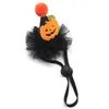 Hundkläder 20st Halloween Accessories Pumpkin Cat Hat Witch Wizard för fester föremål Pet Pary Holiday Caps