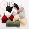 BRAS NICT PISK PALEK TOP TOP BRA NO BEDWIRE Anti-Slip Casual Biecid Biecid Camisole