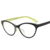 Zonnebril Frames 2024 Cat Eye Bril Frame Vrouwen Merk Vintage Optische Print Kat Computer Brillen 8 Kleur Oculos de Grau