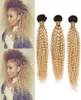 Blond ombre brasiliansk människa hårväv buntar 3st lot kinky curly 1b613 blond ombre jungfru mänskligt hår wefts 1030quot mixe9671578