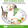Giocattoli interattivi per gatti per gatti da interniGiocattolo per gatti elettrico con attivazione del movimento ricaricabile tramite USBGiocattolo per gattini in movimentoSimulazione di canto degli uccelli 240227