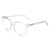 Sunglasses Frames CP070 Fashionable Crystal Blue Purple Glasses CP Injection Plastic Eyewear Optical