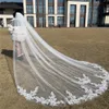 Trendy White Ivory Lace Appliced ​​Wedding Veils For Bride With Comb Elegant One Layer Tulle Long 3M 3 5M 4M 5M Bridal Veil Headpie253n