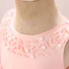 Kleinkind-Taufe-Prinzessinnenkleid mit Perlenstickerei für Babys, Tüll, Weiß, Hochzeit, 1. Geburtstag, Schleife, Partykleider, Taufe, Kinderkleidung 240226