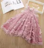 INS Sommer Mädchen Kleider Kinder Stereo Schmetterling Applikation Prinzessin Kleid Mädchen Spitze Gaze Stickerei Schmetterlingsflügel Party Kleider F5212190