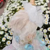 Dog Apparel Handmade Clothes Pet Supplies Princess Dress Gown Embroidery Lace Peasant Sleeve Tutu Soft Breathable Holiday Sunny Beach