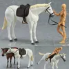 Anime Archetype Mobile Horse Ferrite action figure collection modello artista modello di pittura Mannequin Art Drawing schizzo 240227