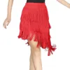 Stage Wear Tassels Salsa Dance Skirt Dancing Costume For Latin Ballroom Tango Cha Performance Skirts Price Girls Adults